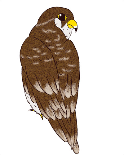 口の多い使い魔