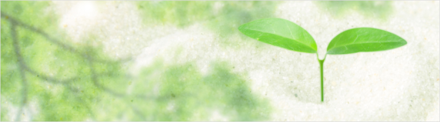 そよかぜのとおりみち