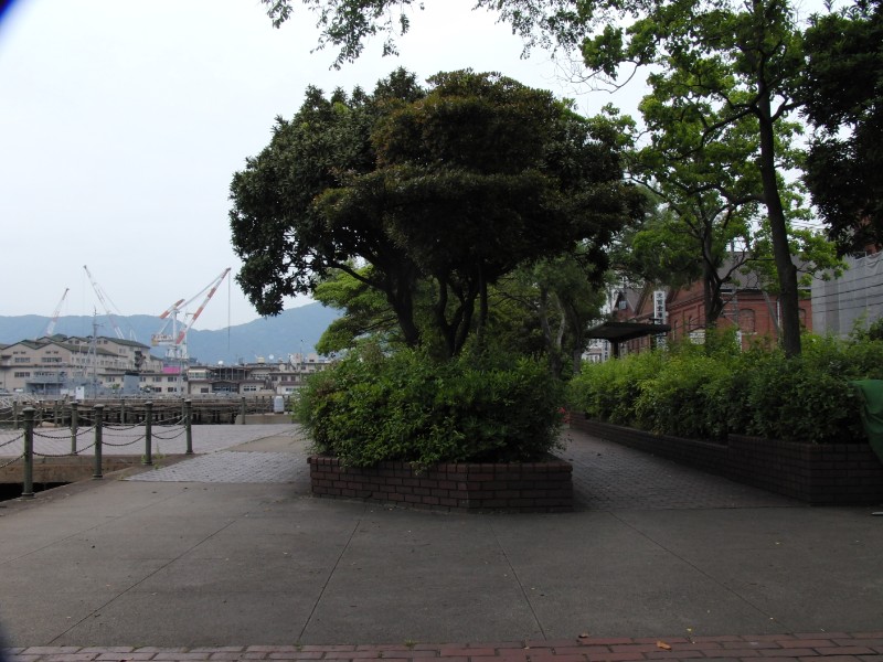 公園（南側から）