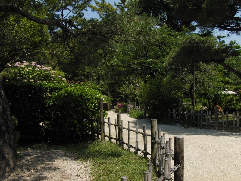 入園後の左手側。春は桜が綺麗。