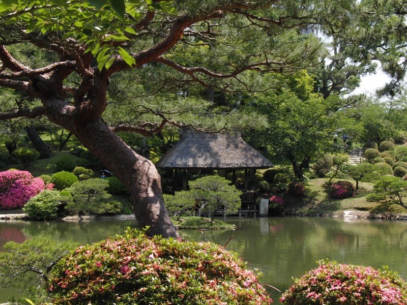 四阿。ちょうどツツジが満開