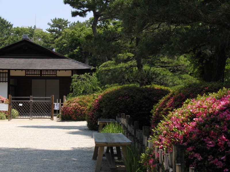 入園後すぐに見える場所