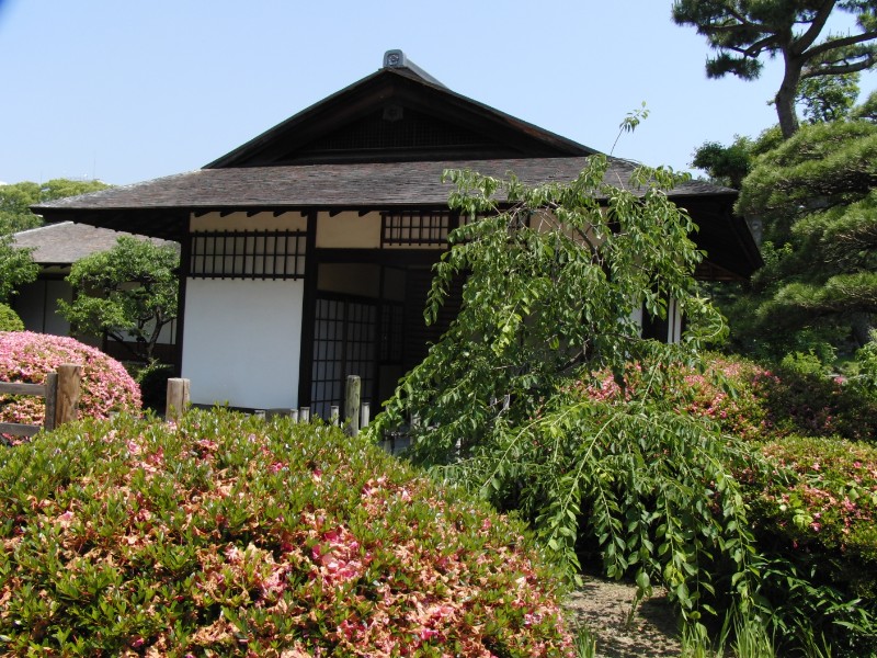 ニュースで放送されることもある、お茶会の会場はここらしい