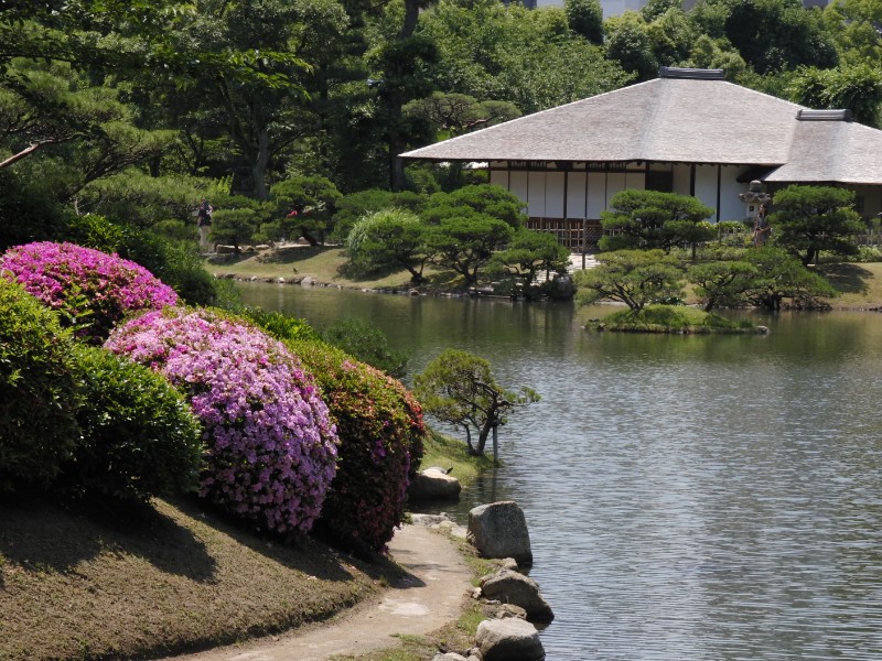 こちらも池側から