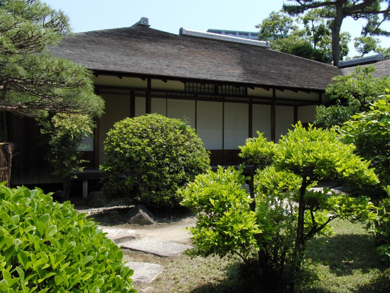 庭から。新緑がきれい